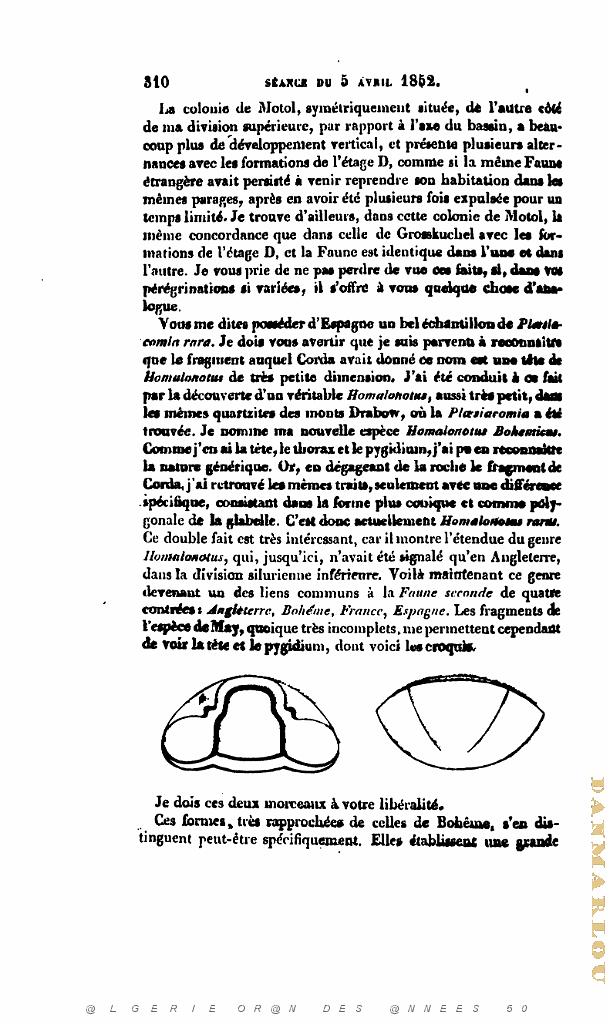 BULLETIN DE LA SOCIETE GEOLOGIQUE DE FRANCE 1852_000353.jpg